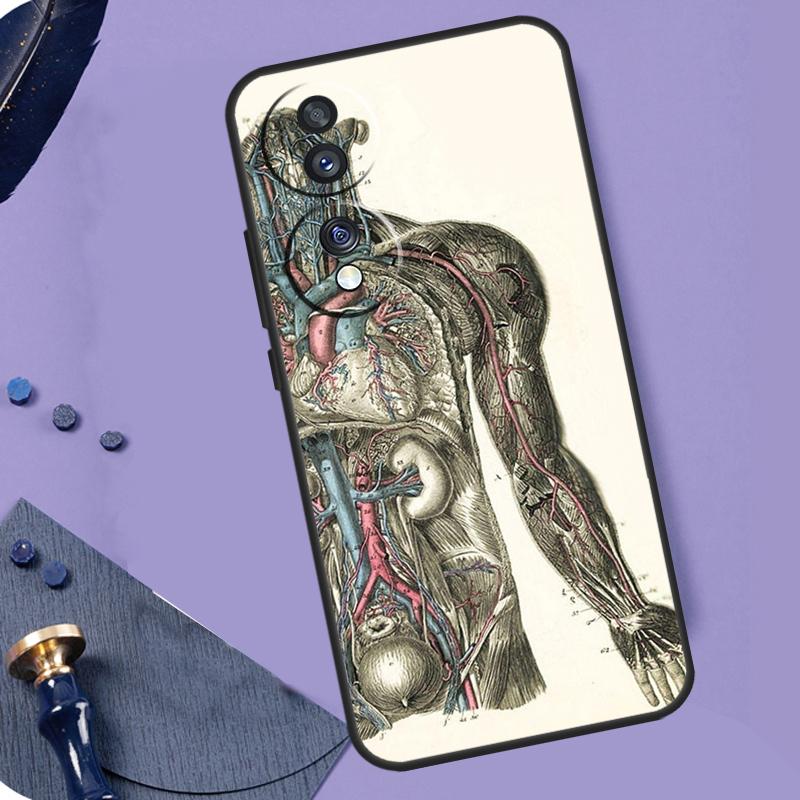 Medical Human Anatomy Case For Honor X8b X9b X9a X8a X7a X6a X7 X8 X9 Cover For Honor Magic 6 5 Pro 50 70 90 Lite