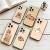 C-Capybara  Phone Case For iPhone 17, 16,15,14,13,12,11 Plus,Pro Max, Others Soft Black Cover