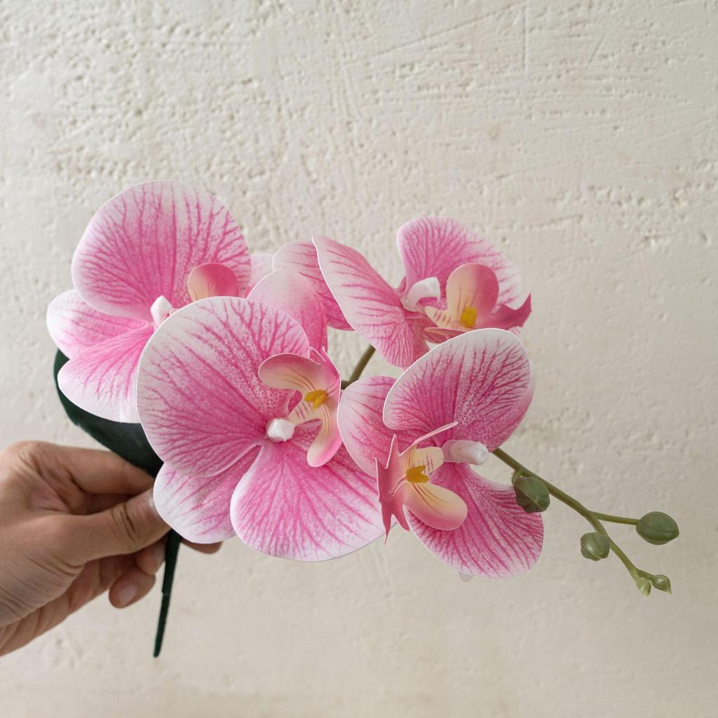 Starry Sky Milk Tea Phalaenopsis Orchid with Leaves - INS Style Faux Flower for Home Decor and Weddings
