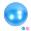 Extra Thick Exercise Ball PVC Anti Burst Inflatable Gym Ball with Pump for Pilates Balance Stability