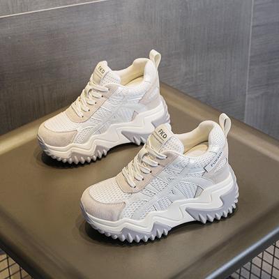 Daddy Shoes Women's Autumn Women's Shoes New Breathable Mesh Thick Sole Heightening Versatile Casual Sports Shoes Women