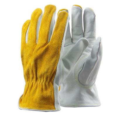 Pet Handling Cowhide Glove