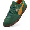 Puma Palermo   Vine  Clemin  396463 05