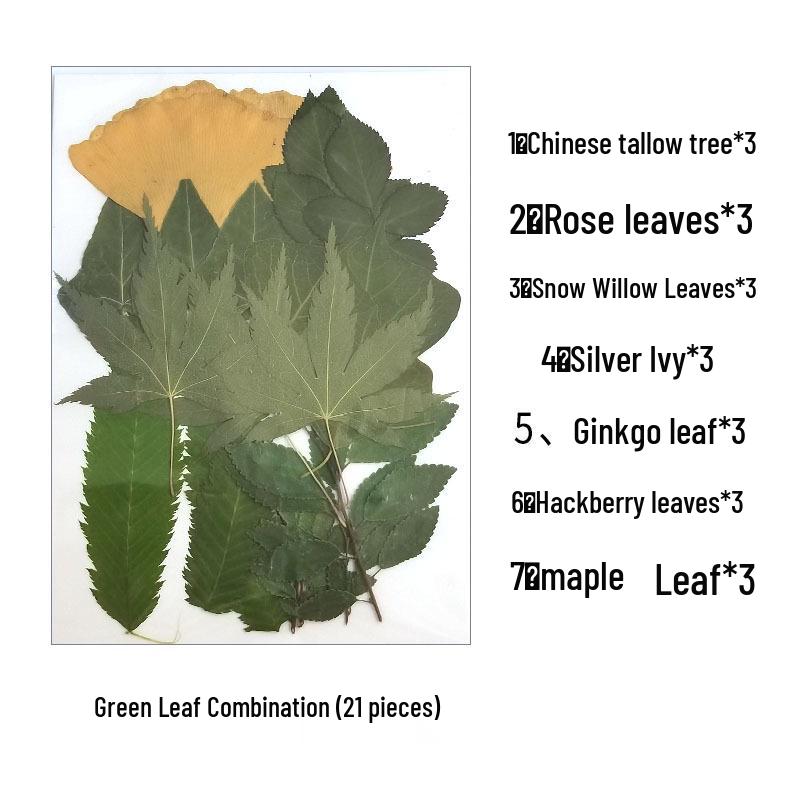 Self-Adhesive Cold Laminating Film - 6 Inch, A4, A6 for Photos, Bookmarks, and Leaf Specimens