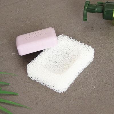 Sponge Soap Case