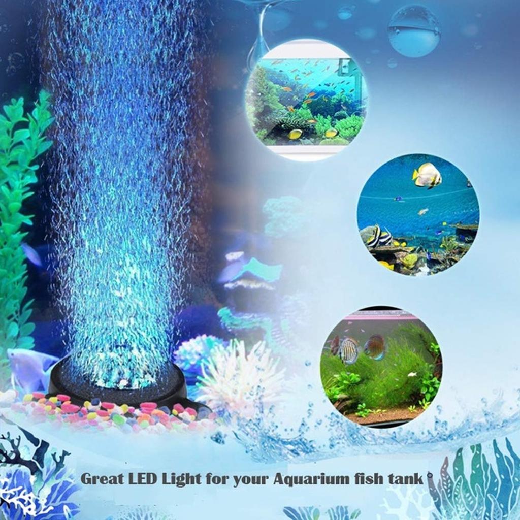 circle fish tank