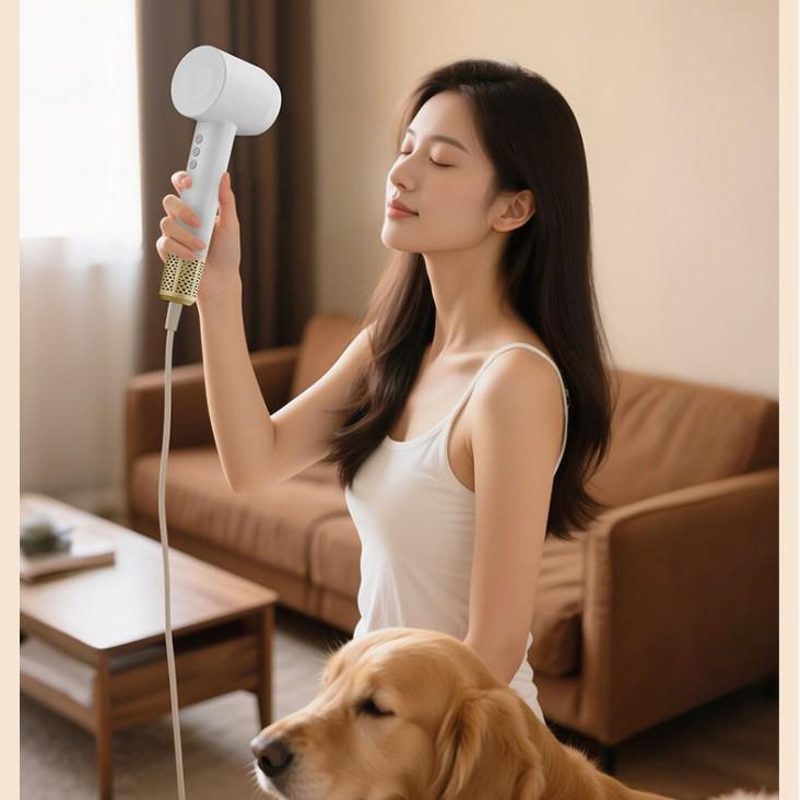 High-Speed Ionic Hair Dryer with Brushless Motor, 110,000 RPM
