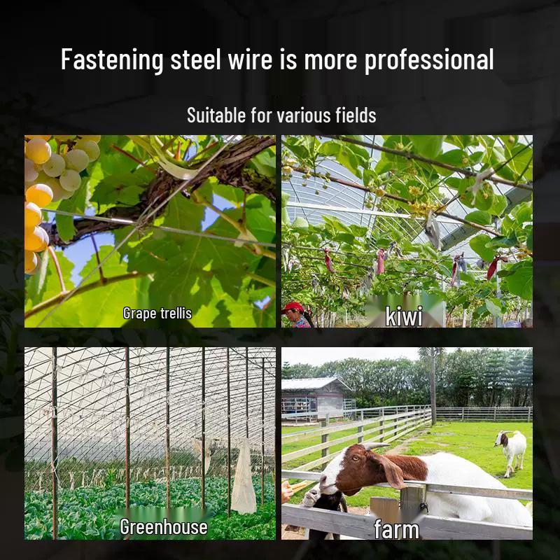Stahldrahtspanner für Gewächshaus- & Spalierbefestigung