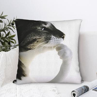 Pet Cat Funny Memes Pillow Case Comfy Pillow Cover For Sofa Home Decor Fashion Pillowcases