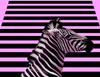 Szklana Płyta Deska Do Krojenia 52X40 Zebra