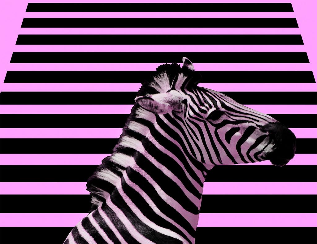 Szklana Płyta Deska Do Krojenia 52X40 Zebra