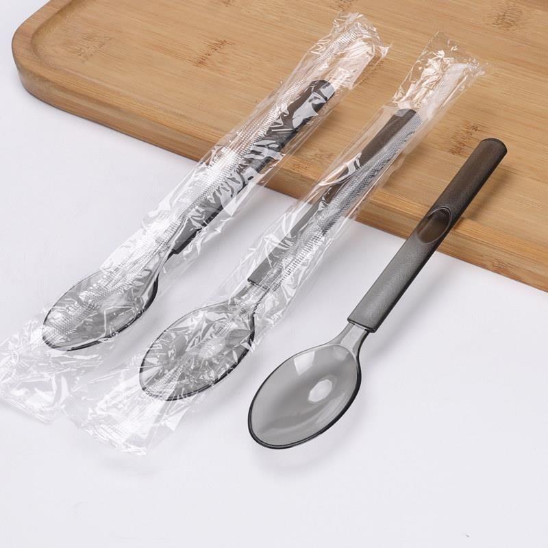 ZISIZ Disposable Food-Grade Plastic Spoon
