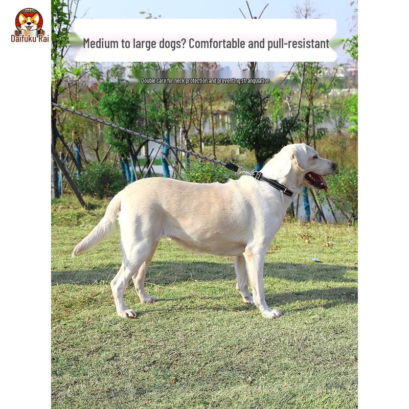 2m Anti-Shock Dog Leash with Collar for Medium & Large Breeds - Golden Retriever & Teddy Training Rope