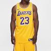 Nike Maglia Icon Swingman LeBron James AA7099-741