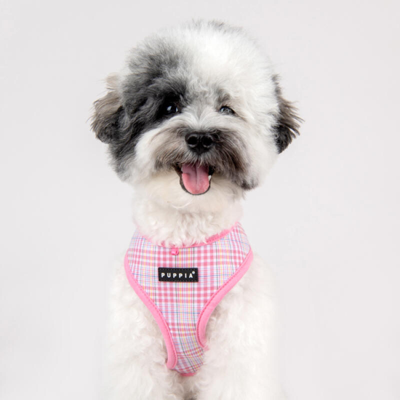 

Luke Harness A SIZE M (PAWA-HA1965) Blue