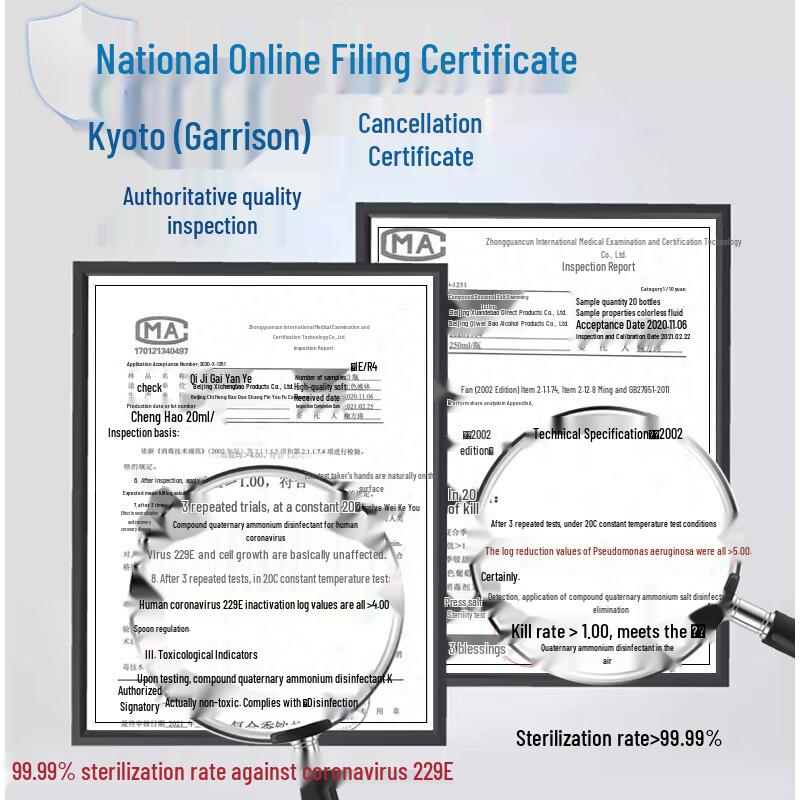 Xidebao Alcohol-Free Rinse-Free Foam Hand Sanitizer