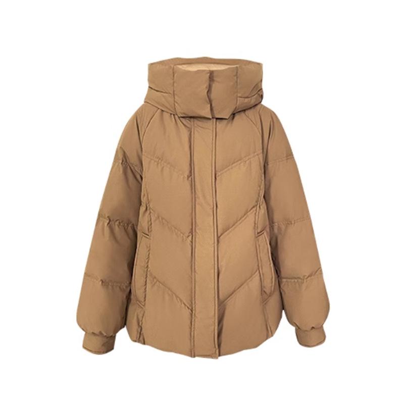 Modische Daunenjacke für Damen, kurz, Winter 2024, neue Kapuze, verdickte weiße Entendaunen, warme Jacke, Flut