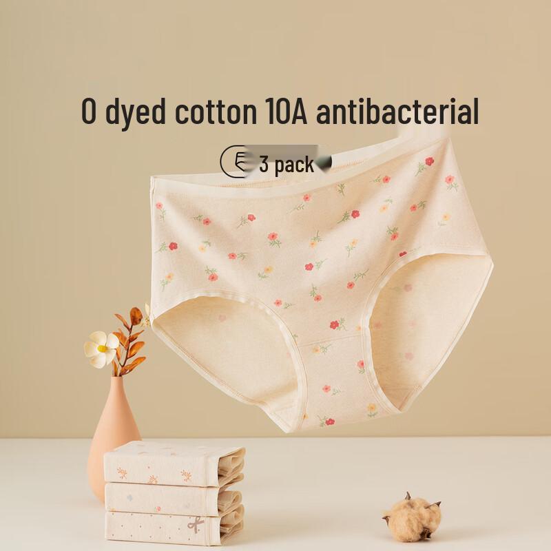 DingGuagua Women's Cotton Antibacterial Mid-Rise Briefs 4-Pack