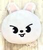 [USED] Straykids SKZOO Leavitt Cushion Reno