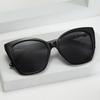 Large Frame Cat Eye Sunglasses Trendy Glasses Street Sunglasses