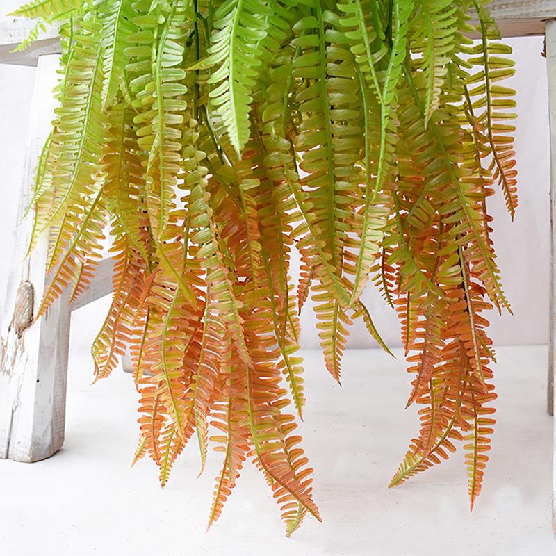 Simulation Spray Color Anchovy Wall Hanging Extra Large Full Persian Grass Green Simulation Fern Plant Vine Vine