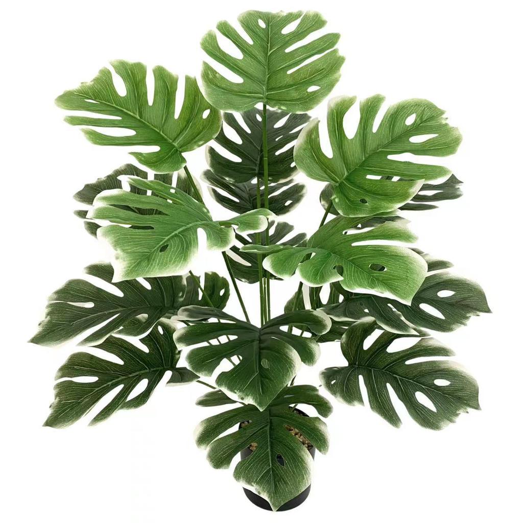 Nordic Style Variegated Monstera: Potted Plant for Home & Garden Decor