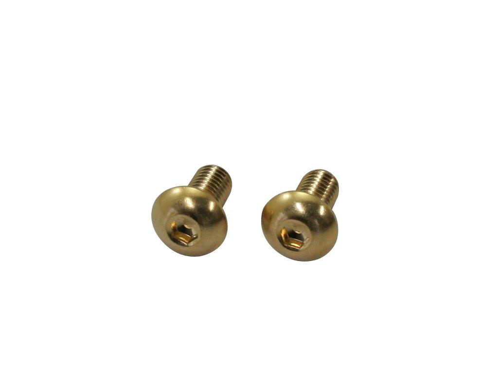 

Cf Posh 811810-010 24K Plated Stainless Steel Hex Socket Button Cap Bolts M5-P0.8 x10, 2 Pieces M5-0.8 x10