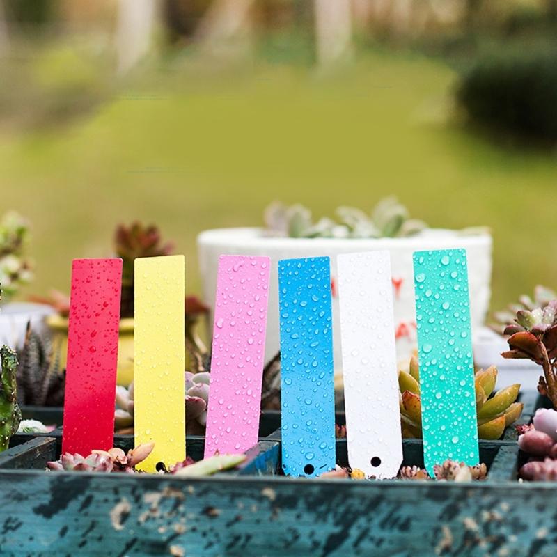100Pcs Plant Labels for Outdoor Plant Plastic Plant Labels Markers & Labels Plant Labels for Garden  Potted