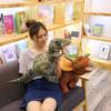 Funny Big Size Lifelike Jurassic Period Dinosaur Plush Toys Soft Stuffed Dinosaur Throw Pillow Creative Home Decor Kids Gift