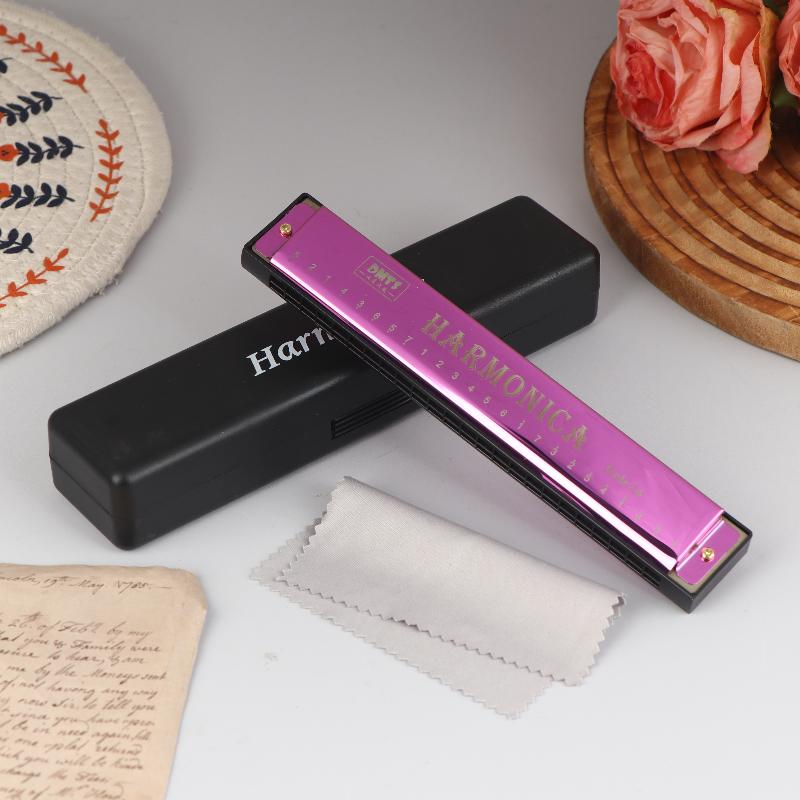 Harmonica Key Of C 24 Hole Diatonic Harmonica C With Case For Beginner Students Kids Gift Blues With Case