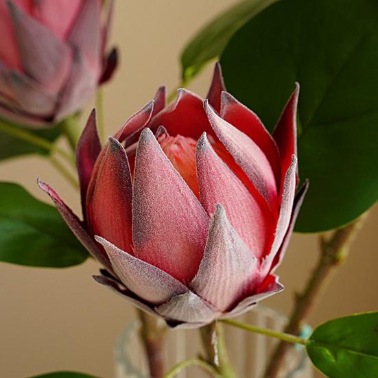 Premium Simulation Plant Easy To Care Beautiful Decor