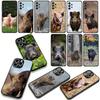 Phone Cover Pig Animal Wild Boar Casing for Apple iPhone 17 16 11 Pro XS Max XR 6 7 8 Plus + 16E SE 2020 Air 5 8+ Case