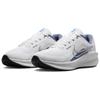 New Nike Downshifter 13 White Ashen Slate Photon Dust Metallic Silver FD6454-102
