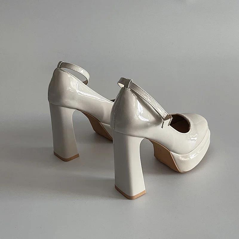 Fashion 2025 Spring Thick Heel Women Mary Jane Shoes Fashion Ankle Strap Ladies Elegant Wedding Party Pumps