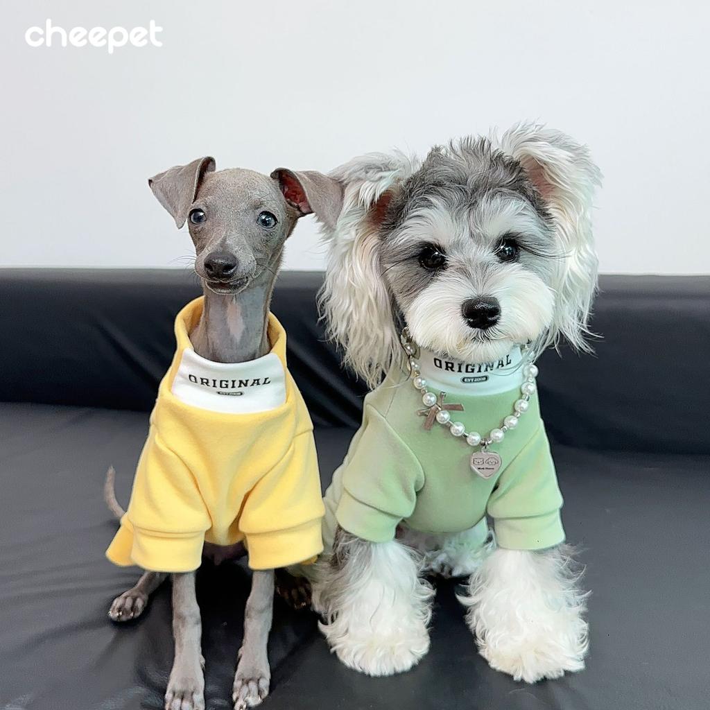 Jesienne i zimowe ubranka dla psa, czteronożny ciepły podkład, średni kołnierz w kontrastowym kolorze, dobra baza, podszyte jednolitym kolorem ubranie wierzchnie