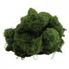Artificial Moss for Indoor Outdoor Decor Available in 50g 100g 200g Sizes