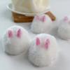 Squishy Kawaii Handmade Silicone Mini White Rabbit Flocked Snow Powder Bunny Soft Pendant Girl Cute Birthday Gift Kids Toys