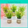 Perennis Potted Bellis Plant Linen Flower Pot For Hotel Dining Room Decoration