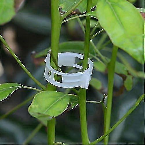 100 Pack Garden Plant Clips, Tie Plants Twine Vine Trellis Cages Vine Vegetable Tools Grafting to Grow Healthier Straight Plants - RIpj