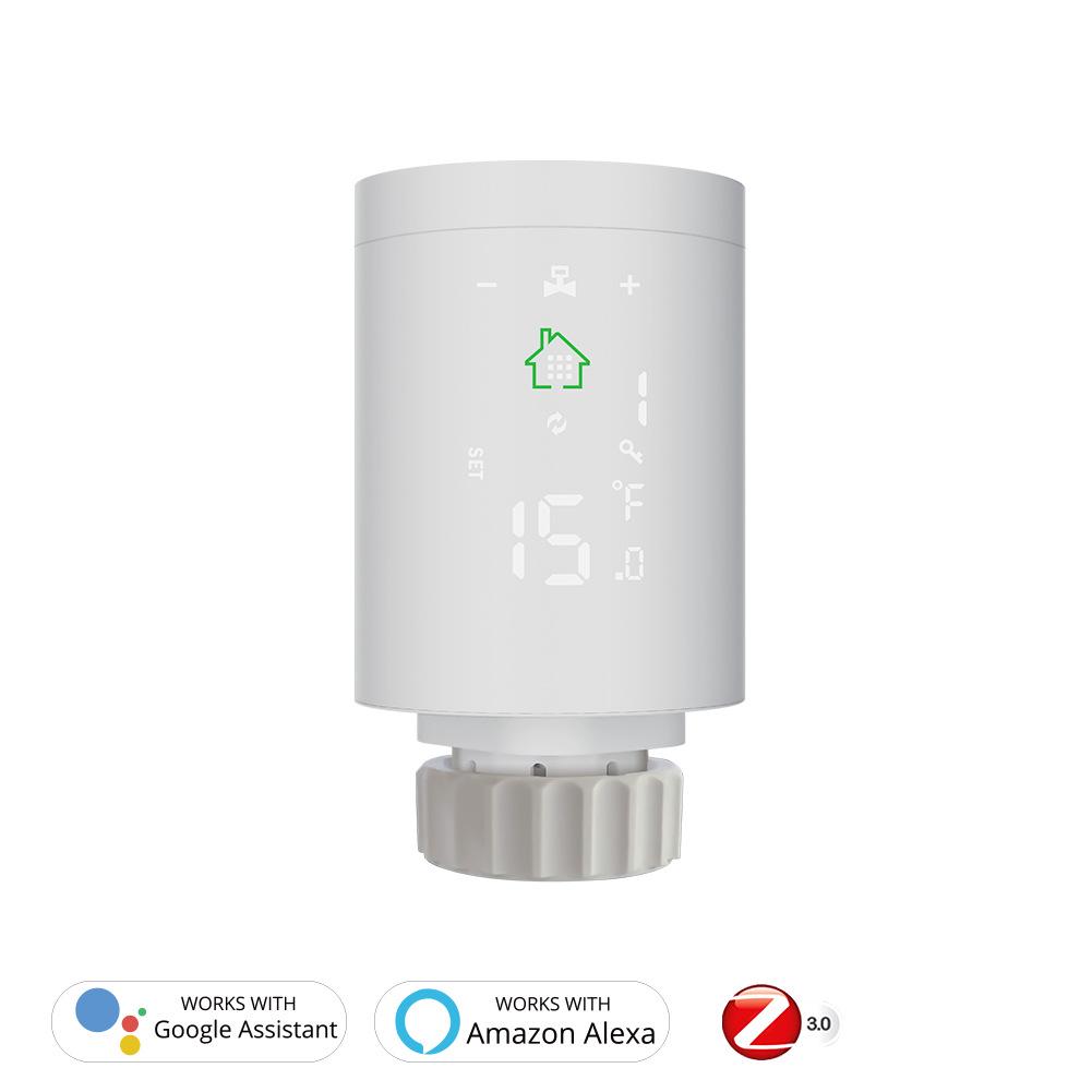 Wi-Fi Graffiti Double Smart Socket with Alexa Voice Control and Remote Timing