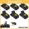 Durable And Reusable Plastic Mouse Traps For Effective Indoor Rodent Control