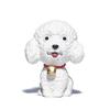 Purple Sand Puppy Tea Pet Boutique Cute Lucky Teddy Zodiac Dog Wangcai Tea Table Ornament Tea Set Accessories