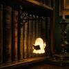 Library Style Ornament Ghost Reading Bookshelf Light, Vintage Metal Book Nook Lamp, Spooky Bookend Lamp Ornament, Warm LED Shelf Light for Lovers