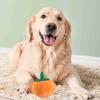 Hundeplüschtier Niedliche Kürbisform Quietschend Bissfest Gefülltes Hundeplüschtier zum Zähneknirschen