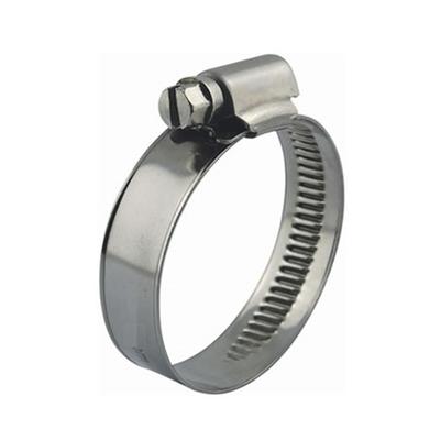 W1 Steel Clamp Band 20-32Mm (Snail)