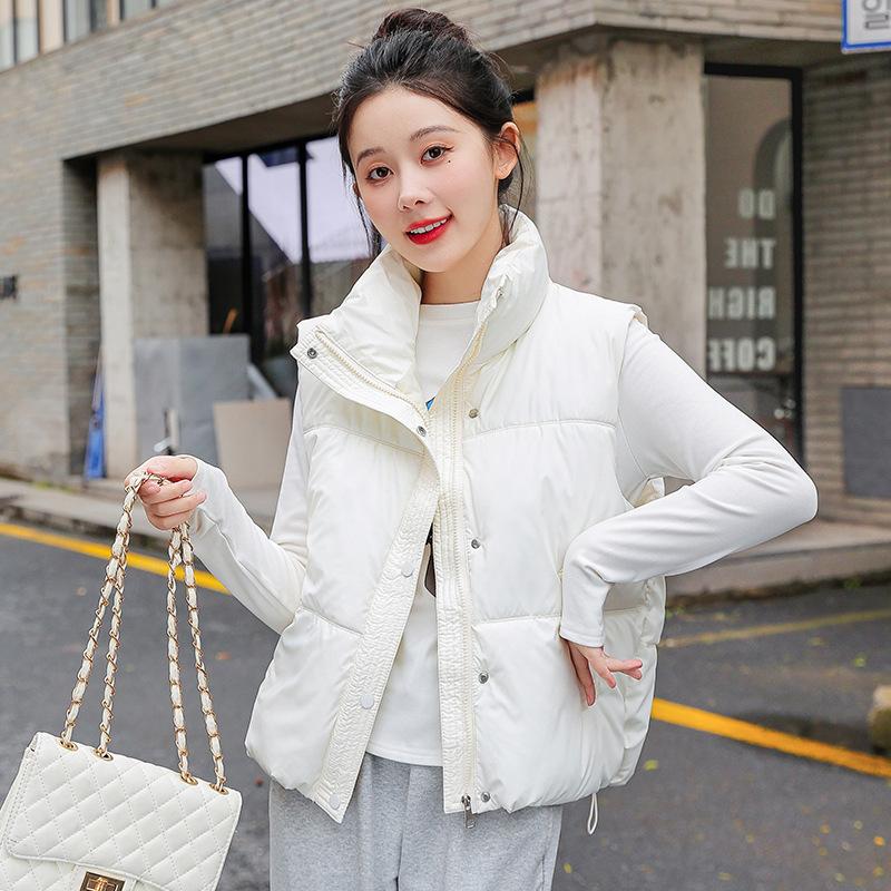 Foreign Style Stand-up Collar Down Cotton Clothes Vest Women's Autumn and Winter New Loose and Versatile Sleeveless Short Vest Jacket