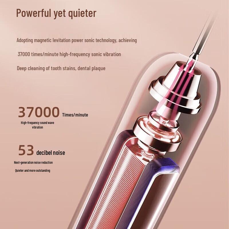 Coolker YS19 Sonic Electric Toothbrush with 4 Brush Heads