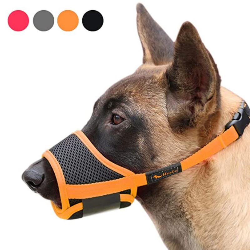 basket muzzle pets at home