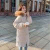 Chaqueta larga de plumas para mujer, abrigos de moda para invierno, Parkas informales con capucha para mujer, ropa de moda coreana para exteriores, abrigos de piel 2021