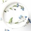 Art Candle Making Natural Card Pressed Flower Don't Forget Me Forget-Me-Not with Stem Dried Flowers